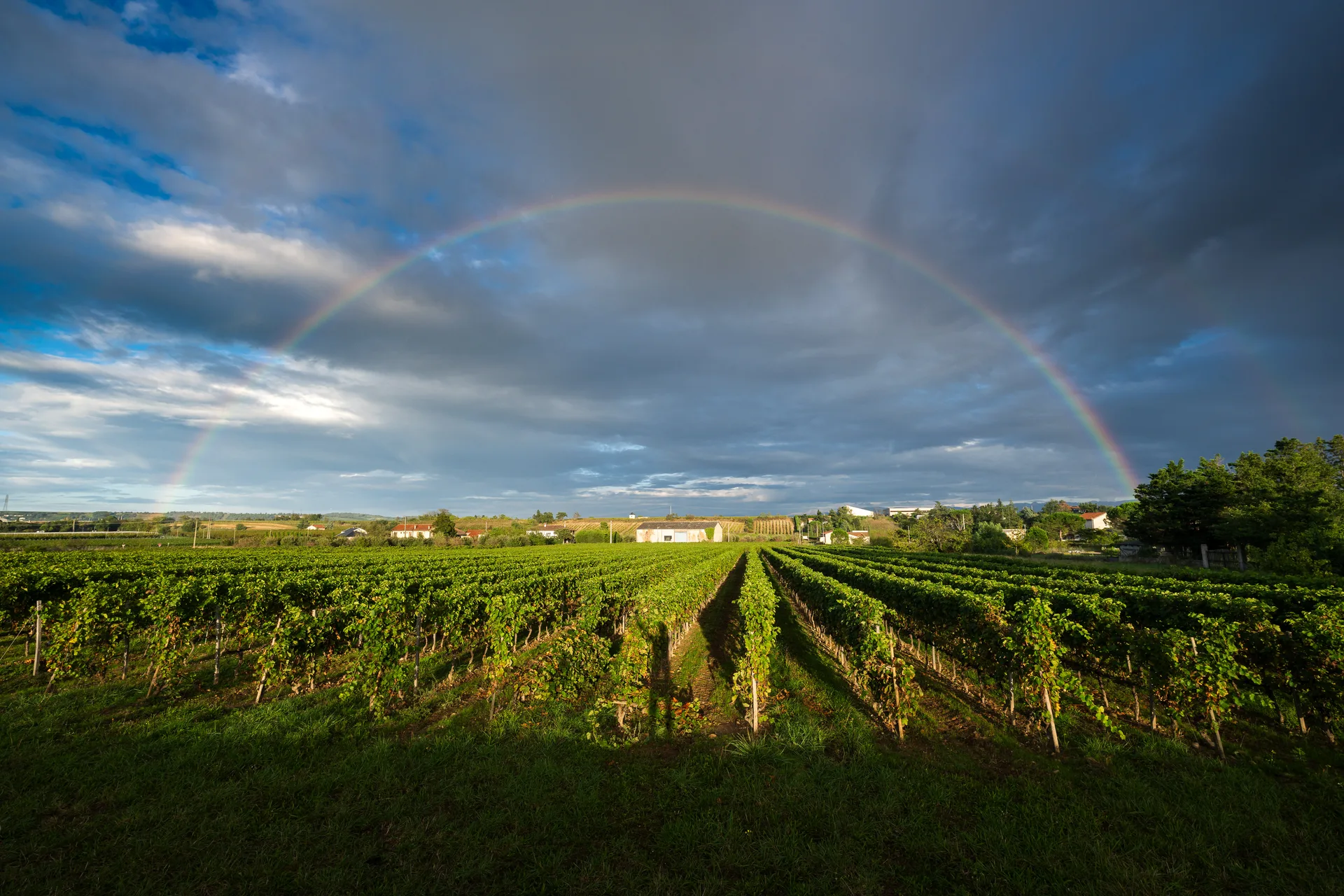 Stand salon professionnel